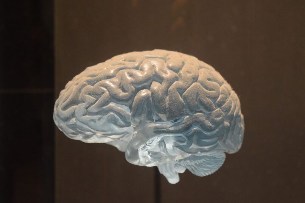 Neurological